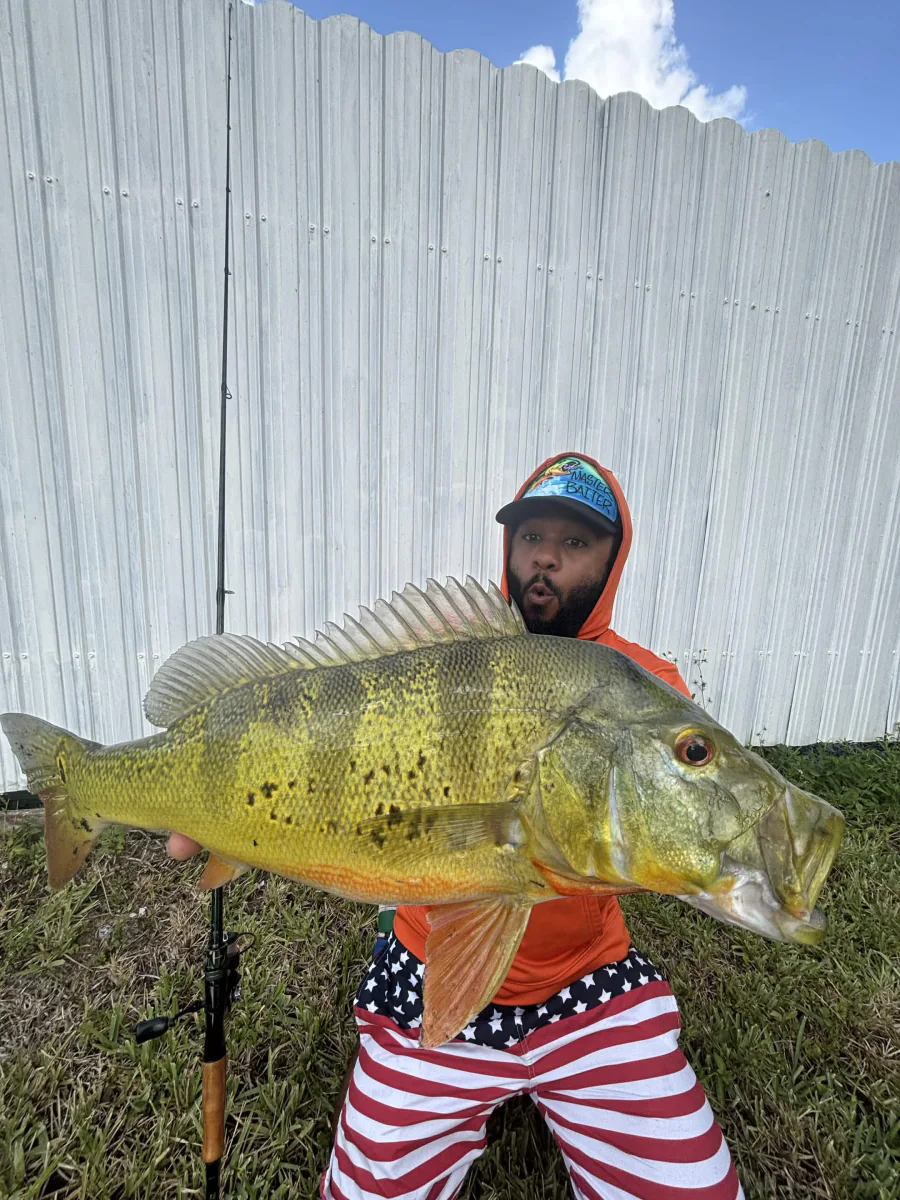 Monster Mike holding a colorful peacock bass in South Florida